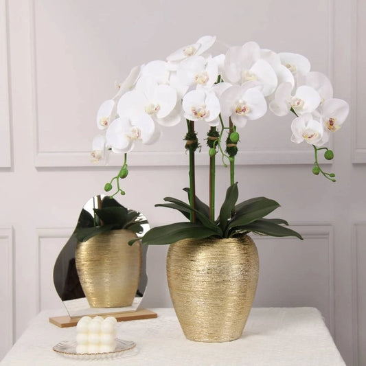 3 Branched White Orchid Plant in Tall Gold Pot