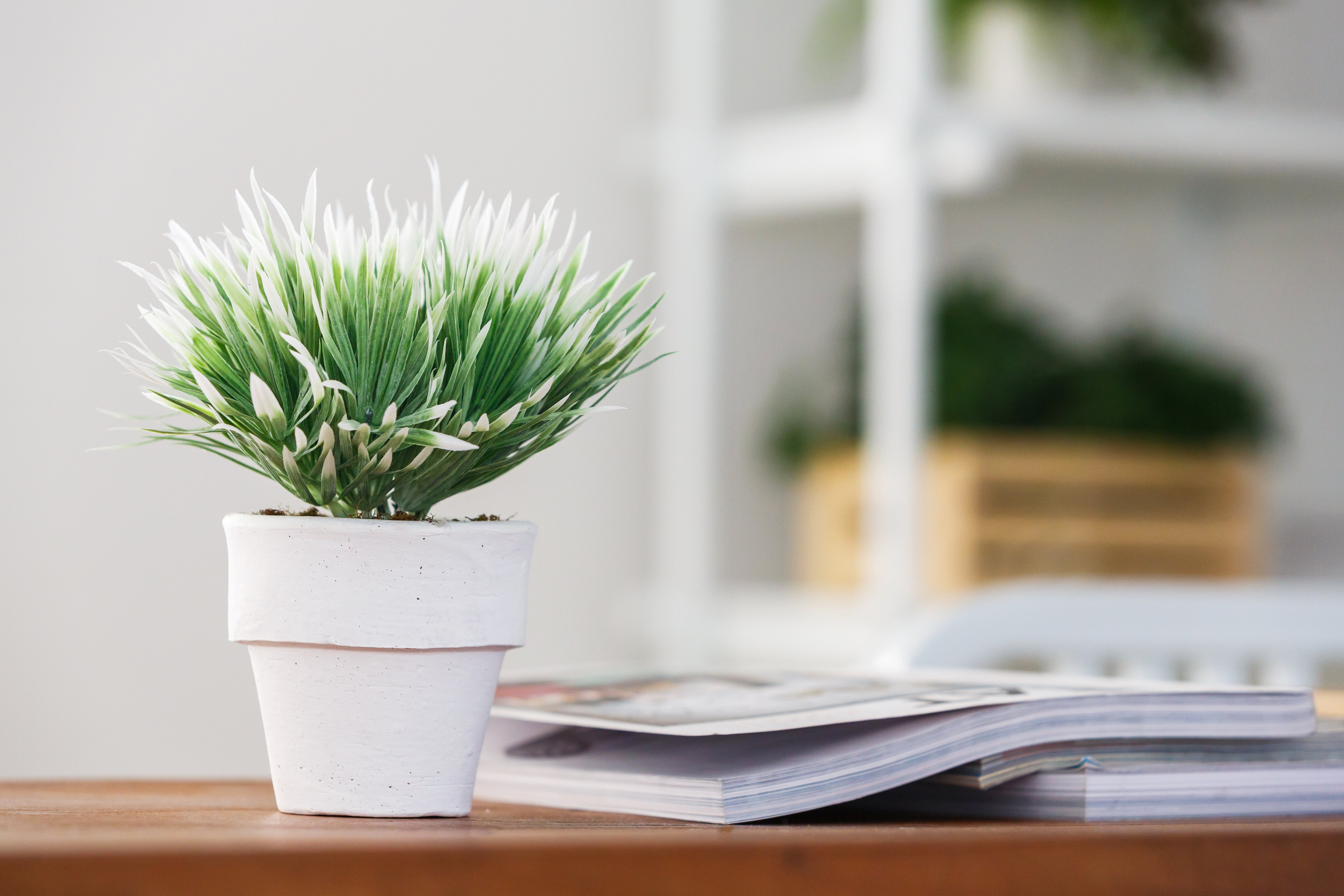 Artificial Plants