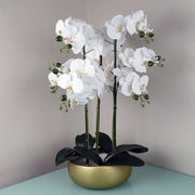 Orchid White, Gold Ceramic Planter