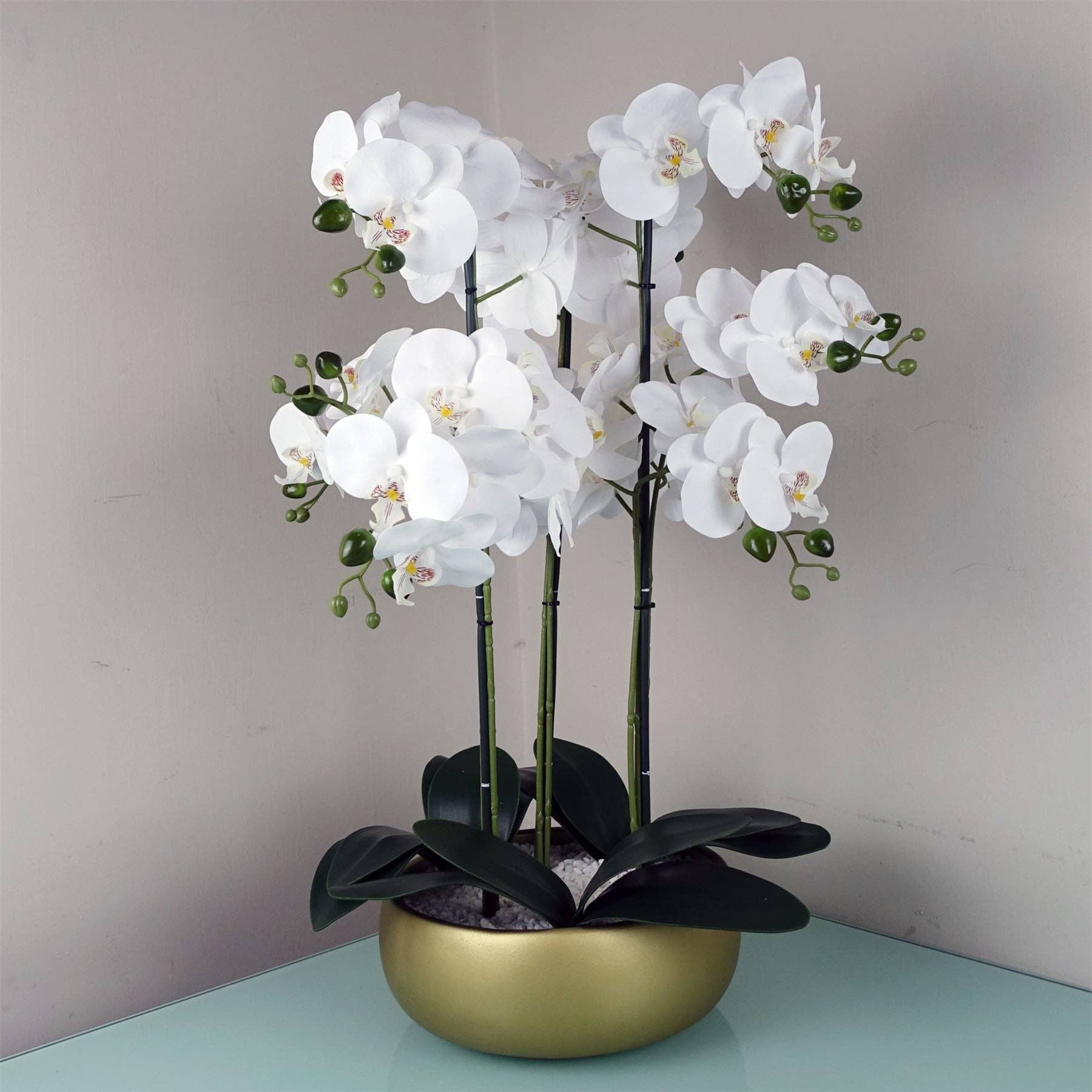 Orchid White, Gold Ceramic Planter